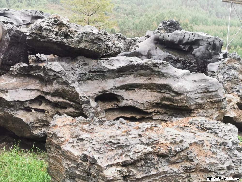 风景石、假山石大量有货，有需要的欢迎联系 - 新手上路 - 锡林郭勒盟生活社区 - 锡林郭勒盟28生活网 xl.28life.net