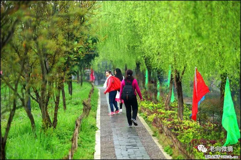 【春天，广西桂林灌阳县向您发出邀请！】江口老街又逢春 - 游山玩水 - 锡林郭勒盟生活社区 - 锡林郭勒盟28生活网 xl.28life.net