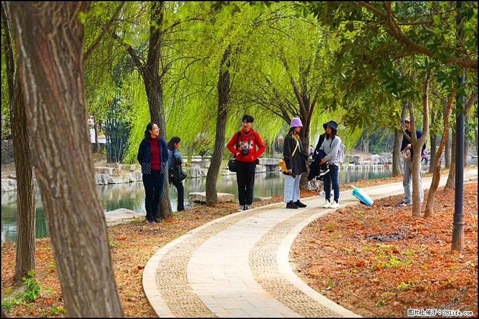 【春天，广西桂林灌阳县向您发出邀请！】江口老街又逢春 - 游山玩水 - 锡林郭勒盟生活社区 - 锡林郭勒盟28生活网 xl.28life.net