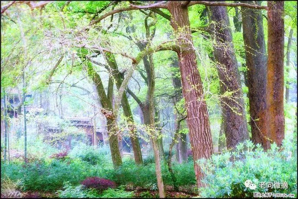 【春天，广西桂林灌阳县向您发出邀请！】在小龙村与春天约会 - 游山玩水 - 锡林郭勒盟生活社区 - 锡林郭勒盟28生活网 xl.28life.net