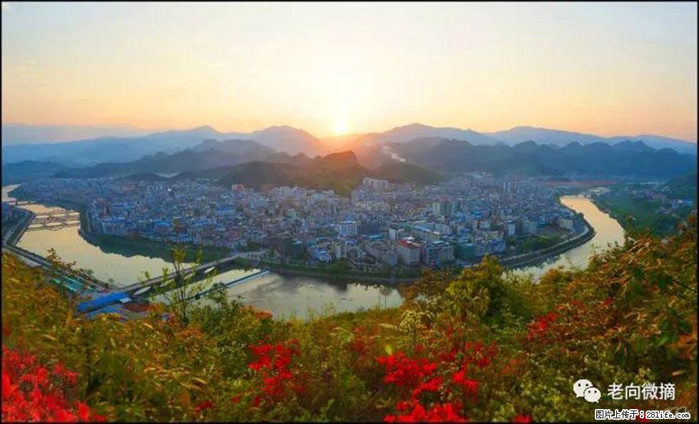 【春天，广西桂林灌阳县向您发出邀请！】登麒麟山，相约映山红 - 游山玩水 - 锡林郭勒盟生活社区 - 锡林郭勒盟28生活网 xl.28life.net