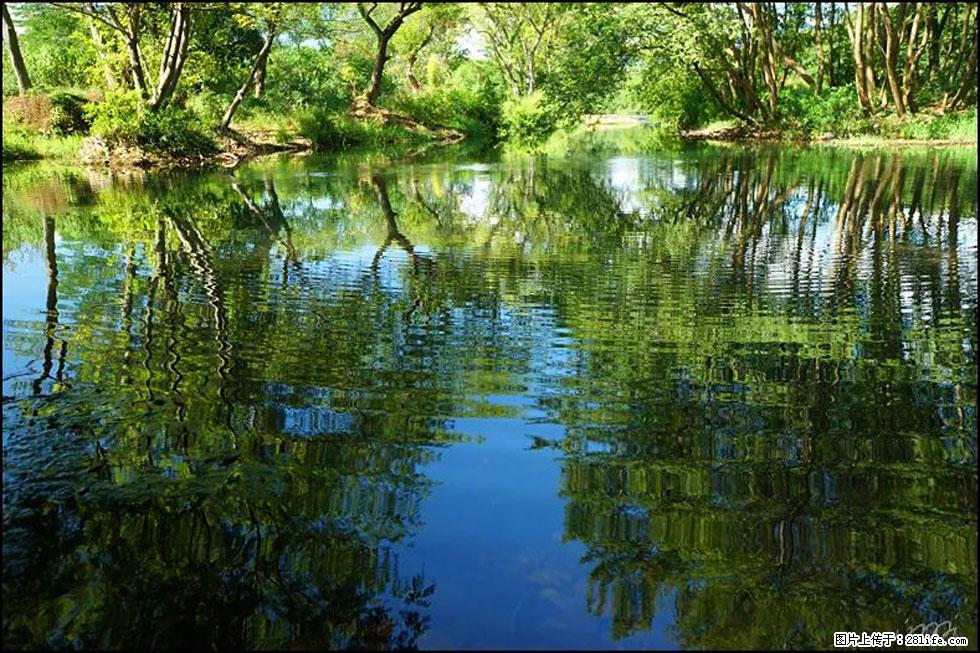 【春天，广西桂林灌阳县向您发出邀请！】熊家寨湿地公园 - 游山玩水 - 锡林郭勒盟生活社区 - 锡林郭勒盟28生活网 xl.28life.net
