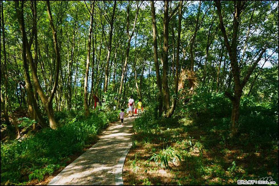 【春天，广西桂林灌阳县向您发出邀请！】熊家寨湿地公园 - 游山玩水 - 锡林郭勒盟生活社区 - 锡林郭勒盟28生活网 xl.28life.net