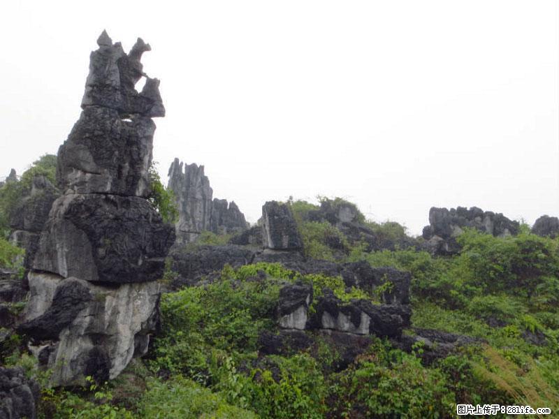 桂林旅游名城景点：灌阳文市石林 - 游山玩水 - 锡林郭勒盟生活社区 - 锡林郭勒盟28生活网 xl.28life.net