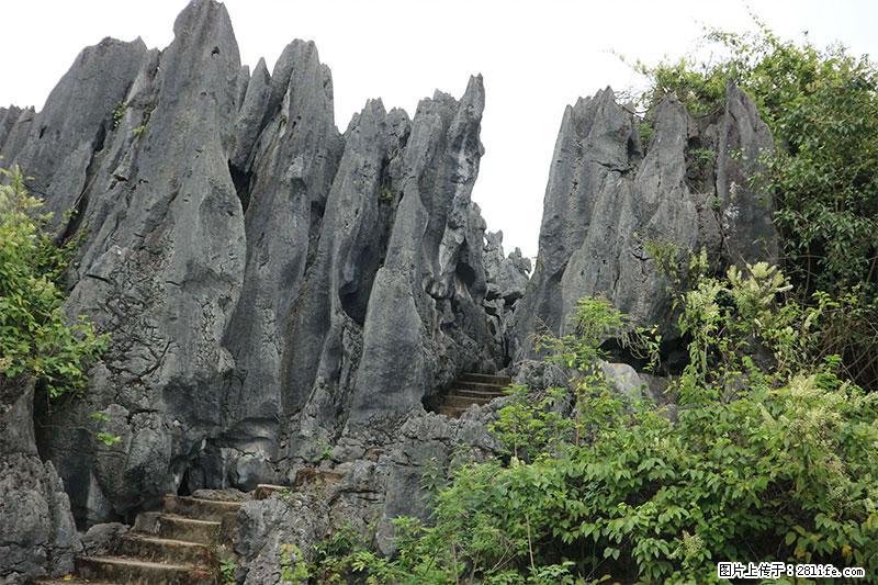 桂林旅游名城景点：灌阳文市石林 - 游山玩水 - 锡林郭勒盟生活社区 - 锡林郭勒盟28生活网 xl.28life.net