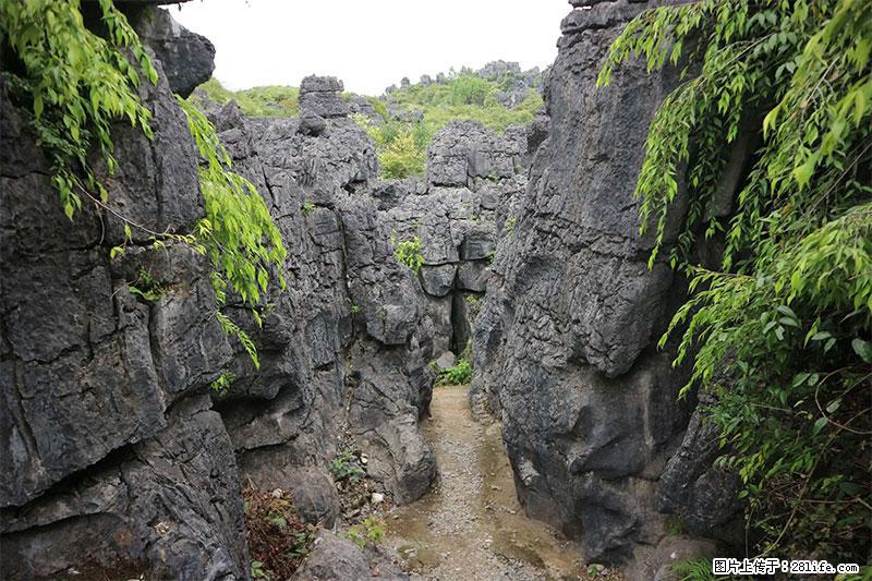 桂林旅游名城景点：灌阳文市石林 - 游山玩水 - 锡林郭勒盟生活社区 - 锡林郭勒盟28生活网 xl.28life.net