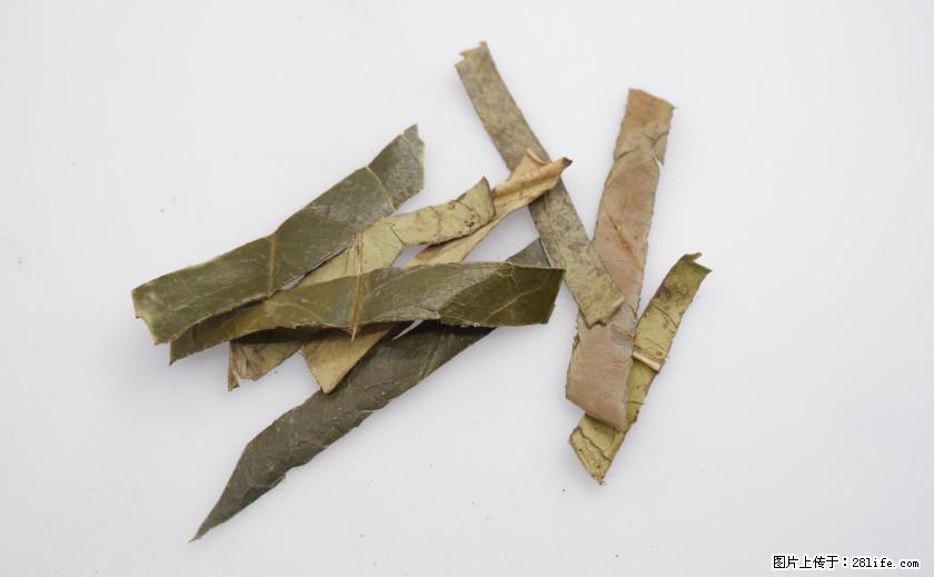 苦丁茶有哪些功效和作用 - 生活百科 - 锡林郭勒盟生活社区 - 锡林郭勒盟28生活网 xl.28life.net
