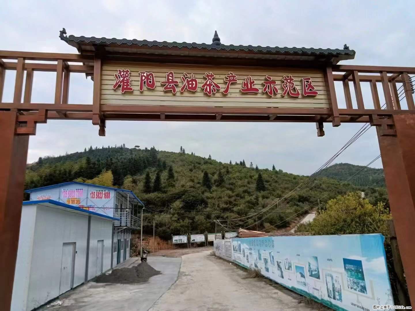 【灌阳县油茶产业示范区】一个有着充实的精神生活的人，对待身外之物自会有一种淡泊的态度 - 美食天地 - 锡林郭勒盟生活社区 - 锡林郭勒盟28生活网 xl.28life.net