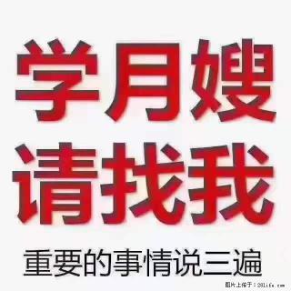 为什么要学习月嫂，育婴师？ - 锡林郭勒盟28生活网 xl.28life.net