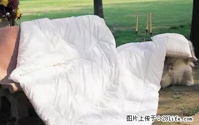 被子有异味？只要这样做，比晒太阳还强100倍！ - 家居生活 - 锡林郭勒盟生活社区 - 锡林郭勒盟28生活网 xl.28life.net