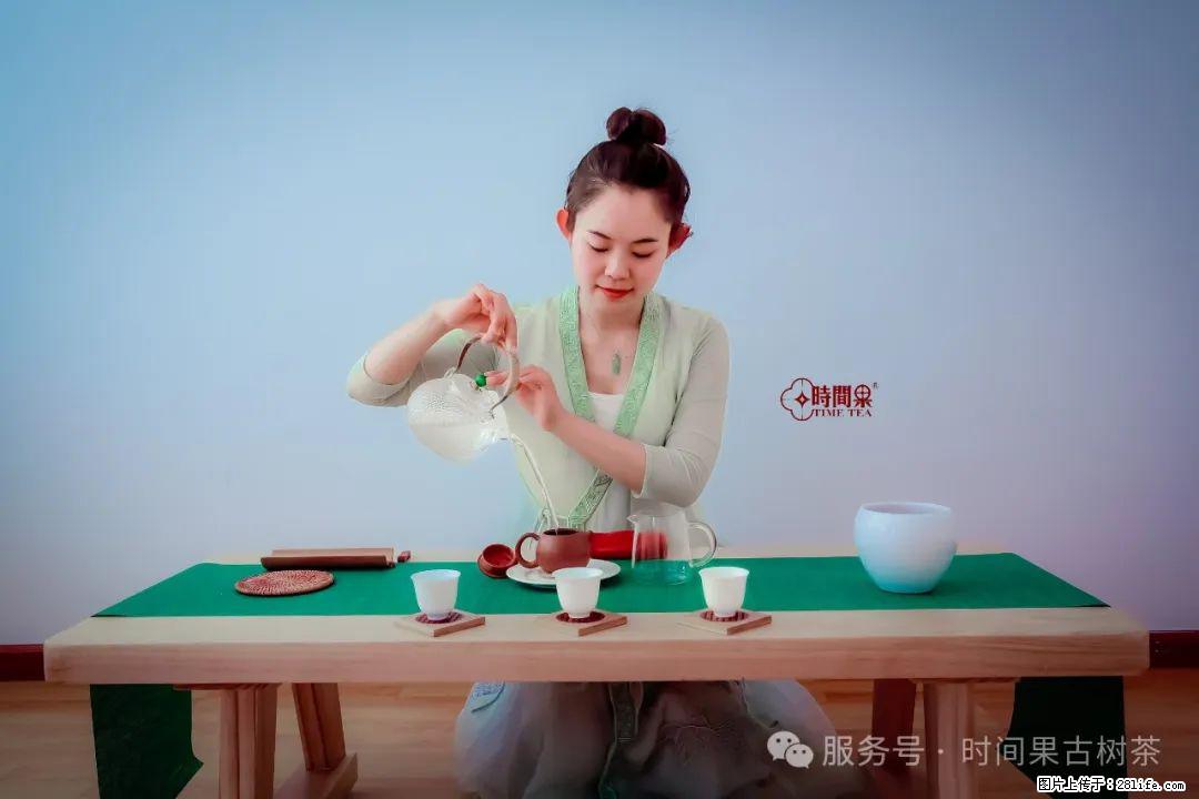 时间果百年古树龙珠普洱生茶 - 购物交流 - 锡林郭勒盟生活社区 - 锡林郭勒盟28生活网 xl.28life.net