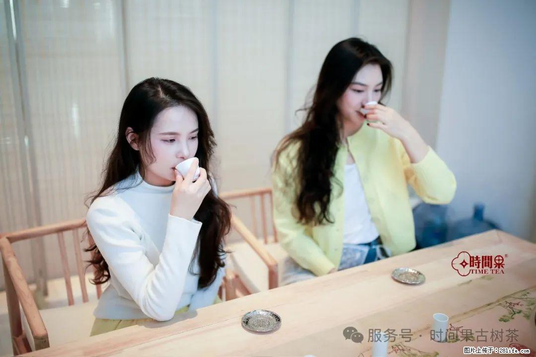 时间果百年古树龙珠普洱生茶 - 购物交流 - 锡林郭勒盟生活社区 - 锡林郭勒盟28生活网 xl.28life.net