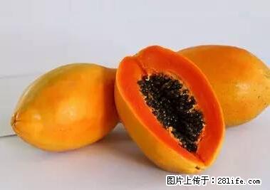 晕车、脚气、牙齿变黄、皮肤粗糙？学会这些三分钟搞定！ - 锡林郭勒盟生活资讯 - 锡林郭勒盟28生活网 xl.28life.net