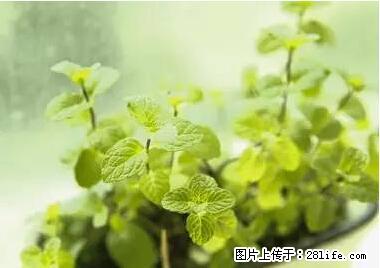 晕车、脚气、牙齿变黄、皮肤粗糙？学会这些三分钟搞定！ - 锡林郭勒盟生活资讯 - 锡林郭勒盟28生活网 xl.28life.net