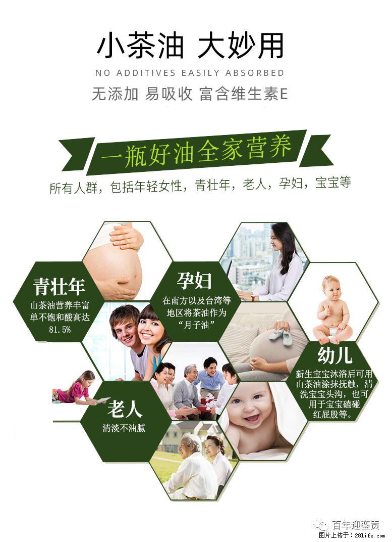 世界没有真相，只有认知，最好的食用油是中国的山茶油！ - 锡林郭勒盟生活资讯 - 锡林郭勒盟28生活网 xl.28life.net