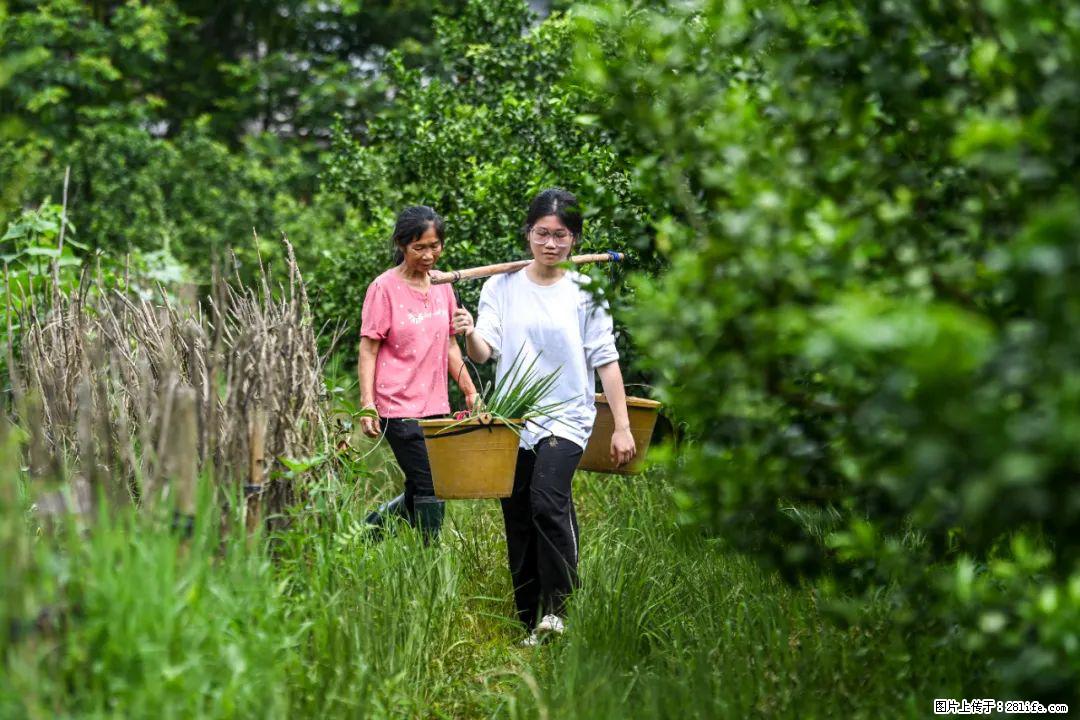 全网追的“扁担女孩”，找了一份暑假工，时薪12元 - 锡林郭勒盟生活资讯 - 锡林郭勒盟28生活网 xl.28life.net